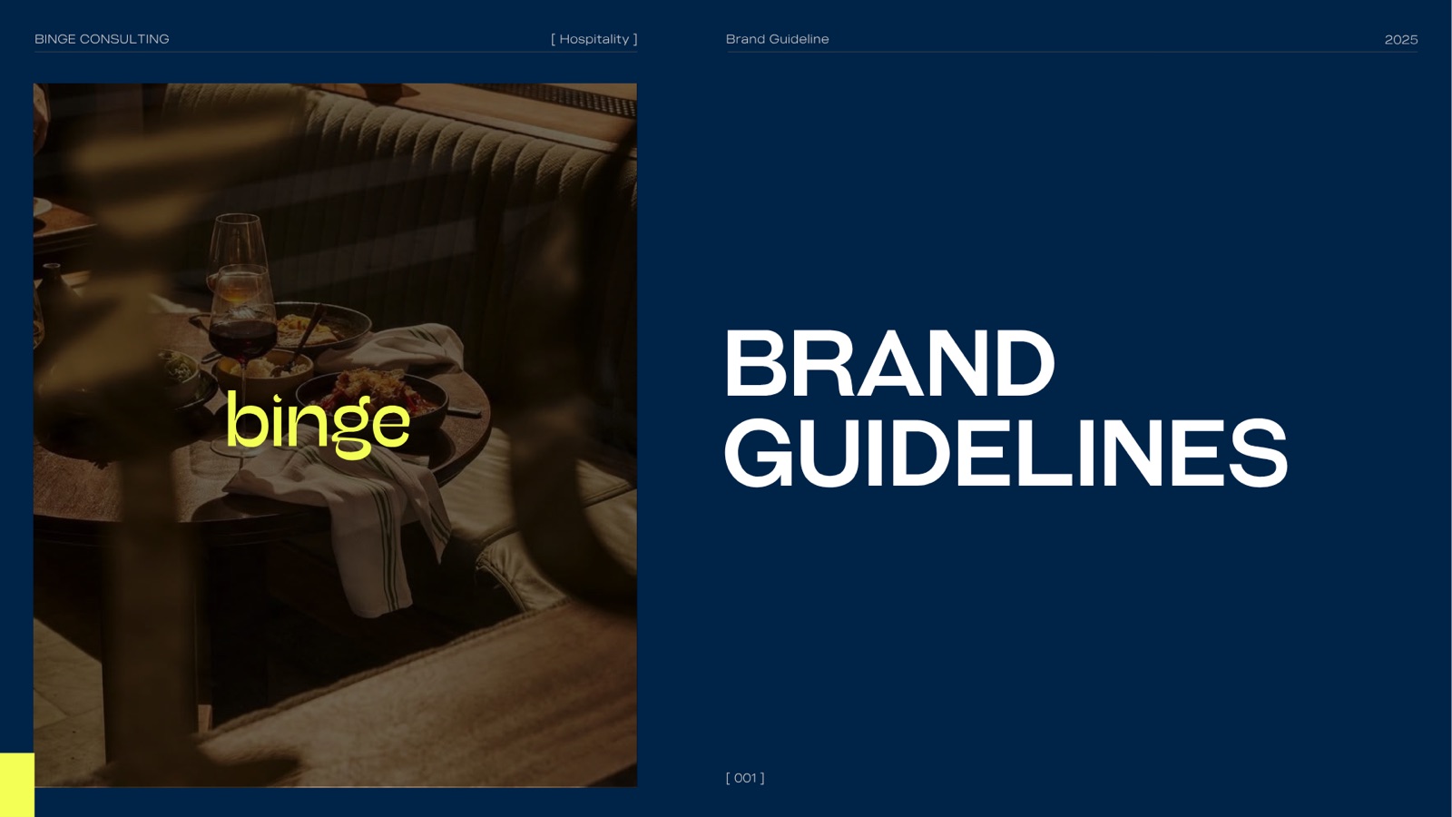 Binge — rebrand system 1