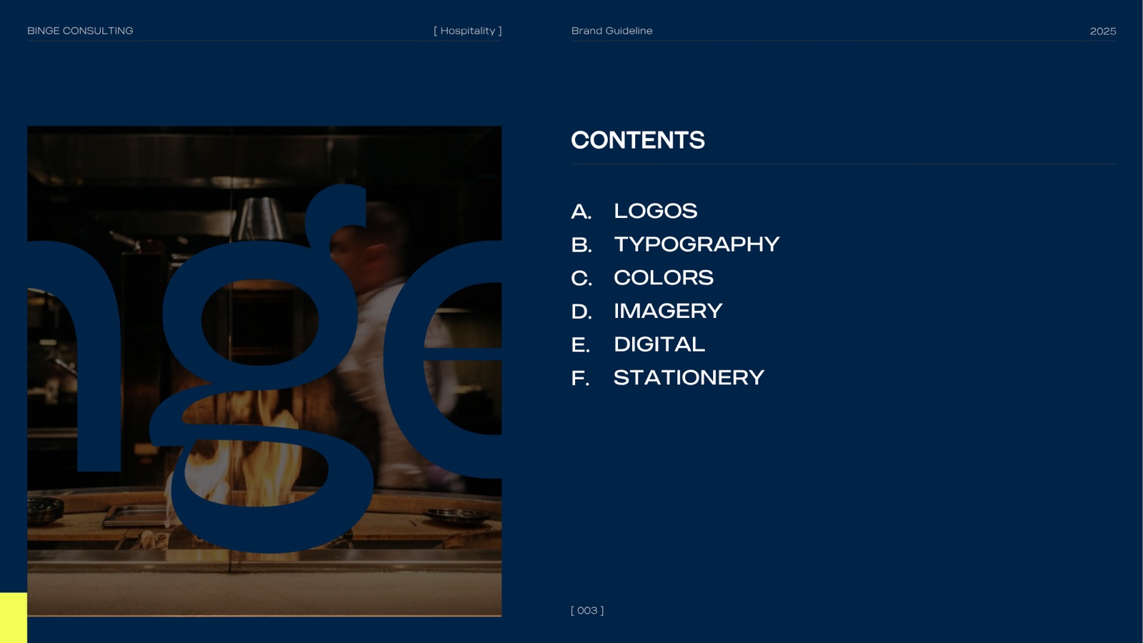 Binge — rebrand system 3
